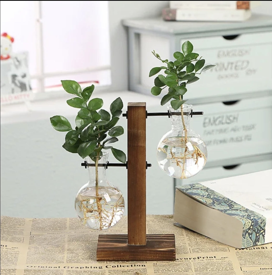 Hydroponic Plant Terrarium Vase